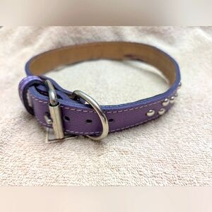Purple, studded, dog collar size 26"